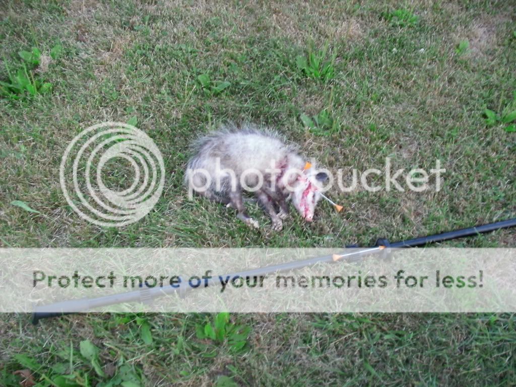 GEDC0237.jpg