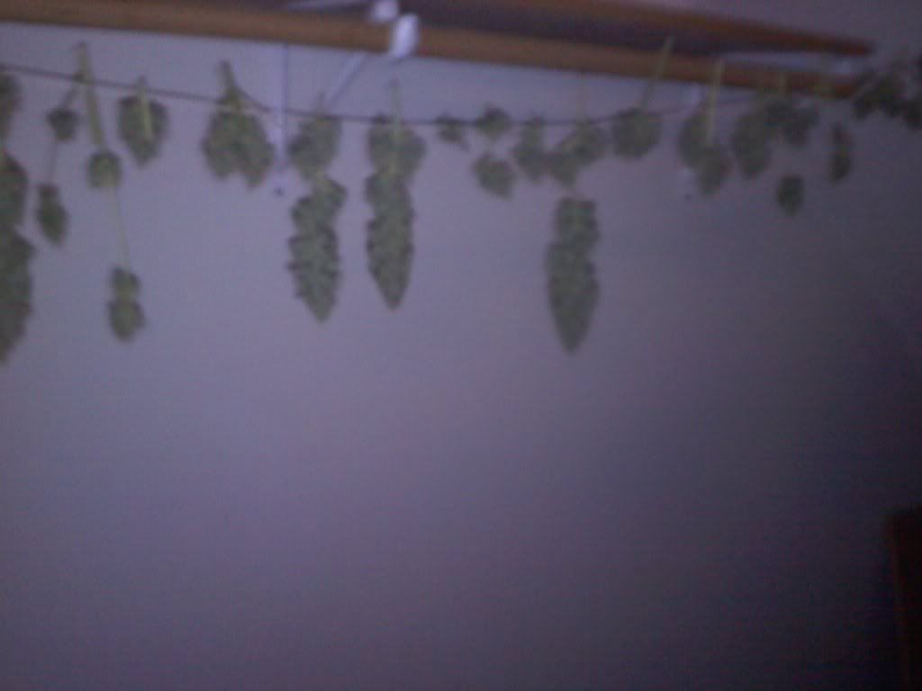 20101002155234.jpg