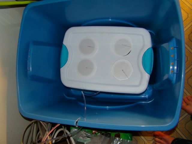 DSC01251.jpg