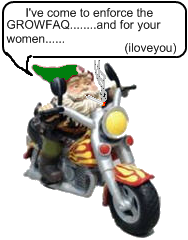 irielocity_transp.png