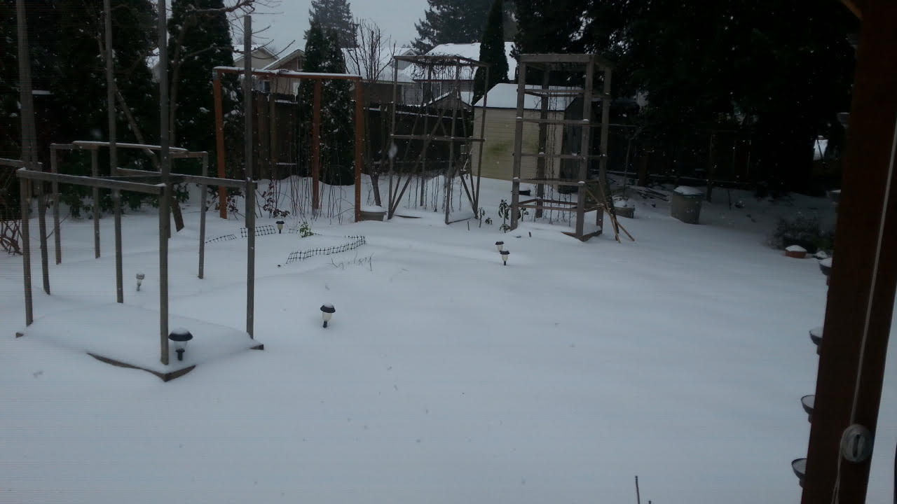 snow2.jpg