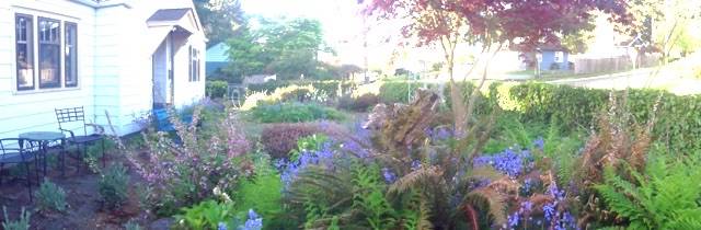 image-jpg.1455
