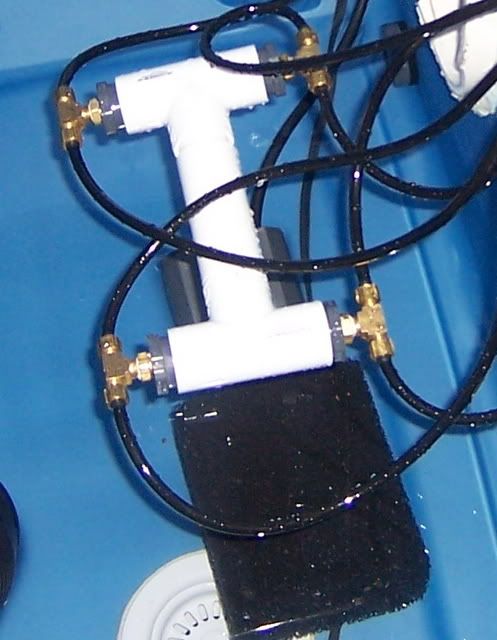 000_0955.jpg