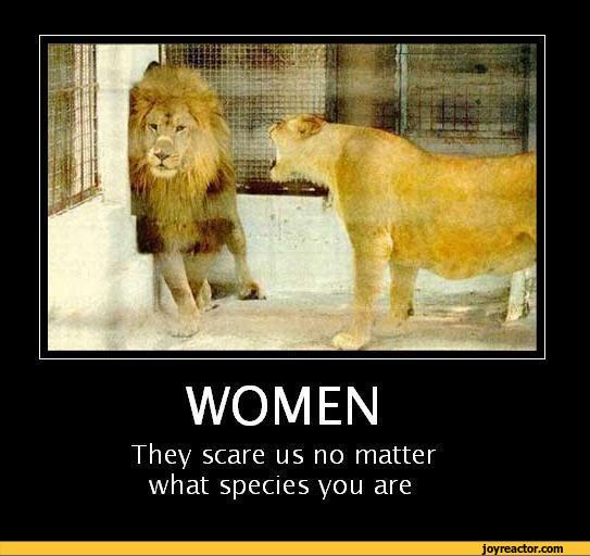 women-lion-sexism-girls-vs-boys-773882.jpeg
