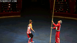 gifs_02.gif