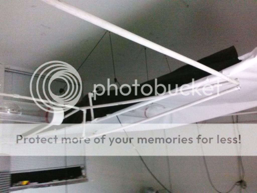 CAM00546-1_zps239a9436.jpg