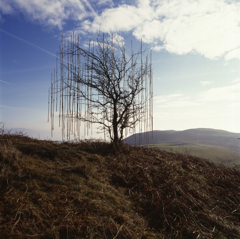andy-goldsworthy.jpg