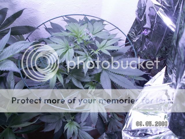 PICT0315.jpg