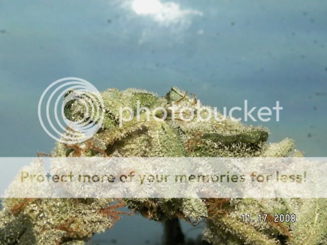 PICT0065.jpg