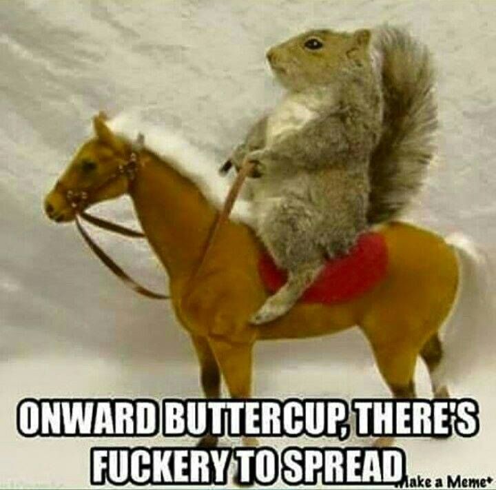 8168d187d3d2e3c08302ab0793755ecc.jpg