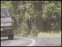 friday_gif_collection_29.gif