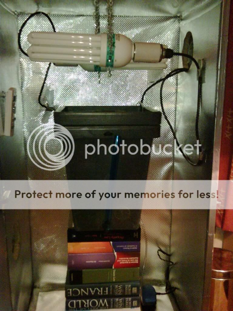 GrowBox_FrontView.jpg