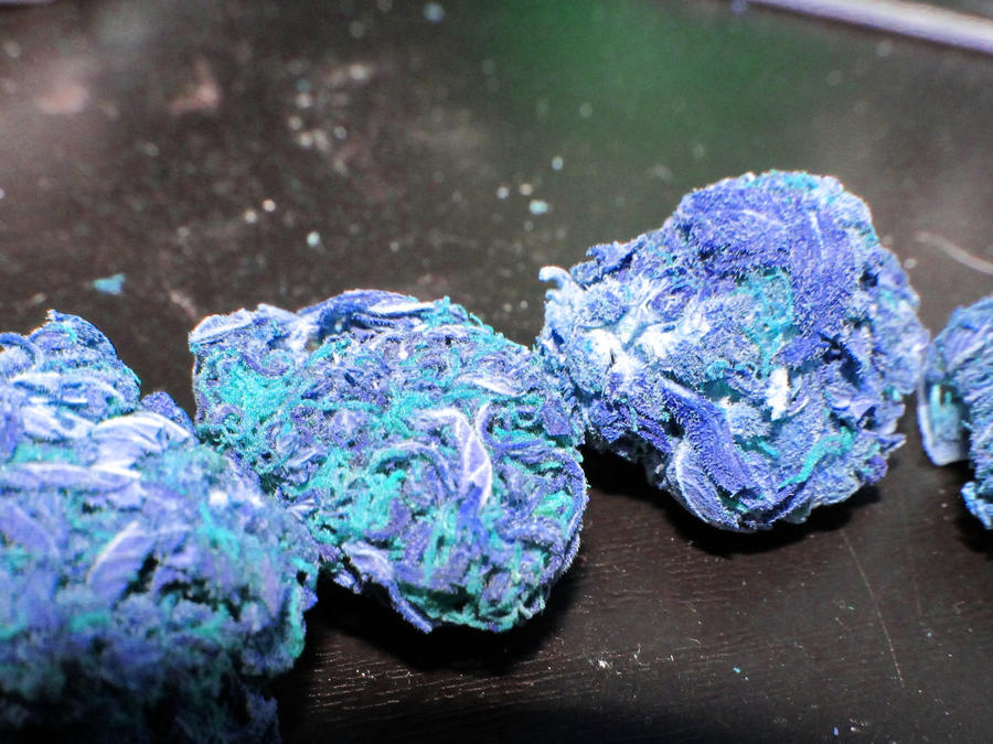 blueberry_yum_yum_by_starlitter-d3i1gka.jpg