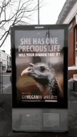 1677673337_15.gif
