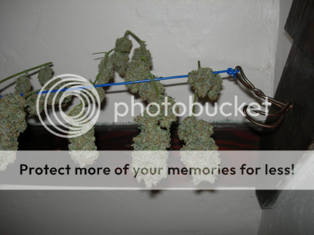 DSCN8510.jpg
