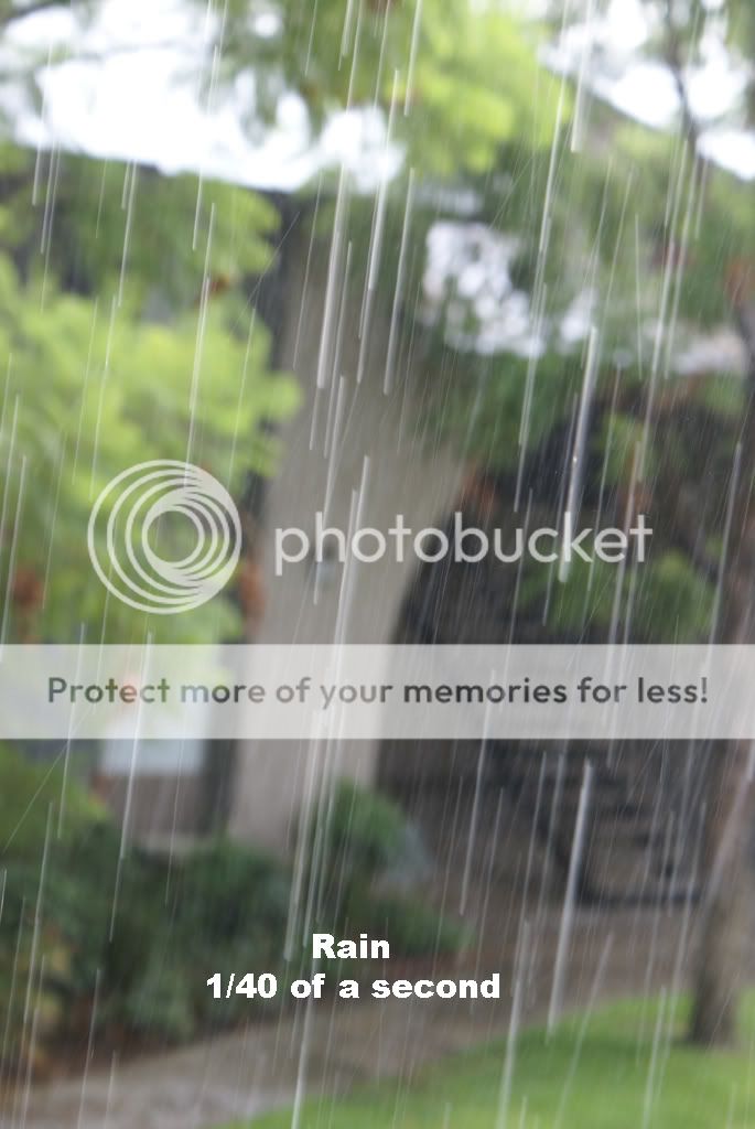 Rain40.jpg