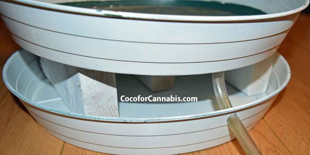 www.cocoforcannabis.com