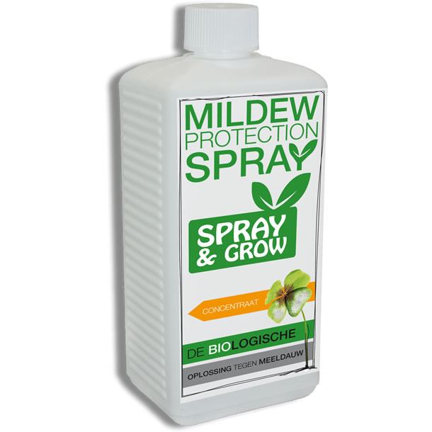 Mildew-Product-3e.jpg