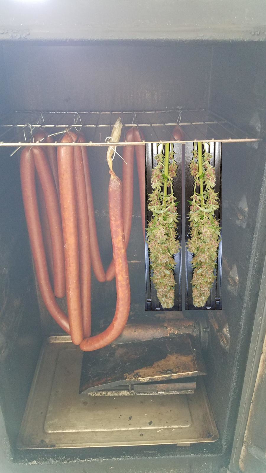 smokedpot.jpg