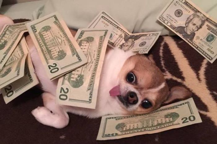 acid_picdump_27.jpg