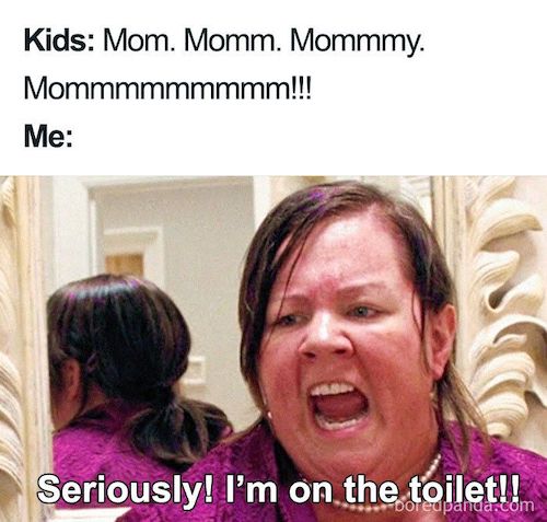 mom-toilet-meme.jpeg