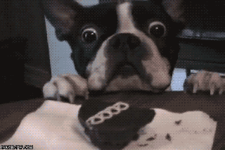 tumblr_majuue8SBH1rtc9of.gif