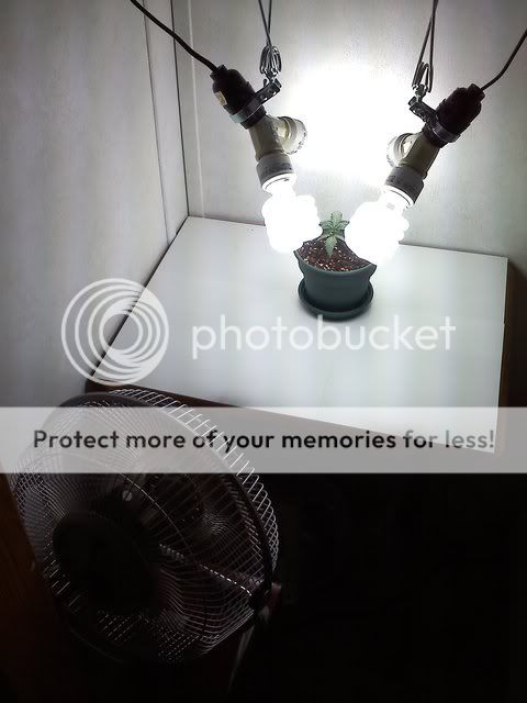 20111201180609.jpg