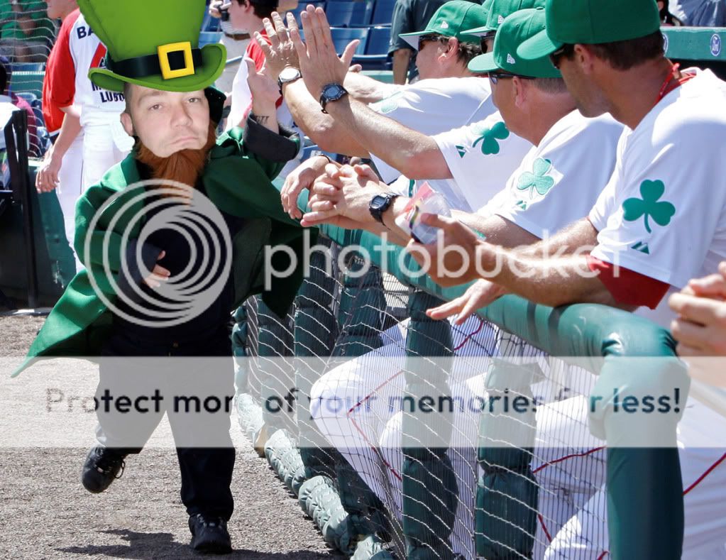 leprechaun0317.jpg