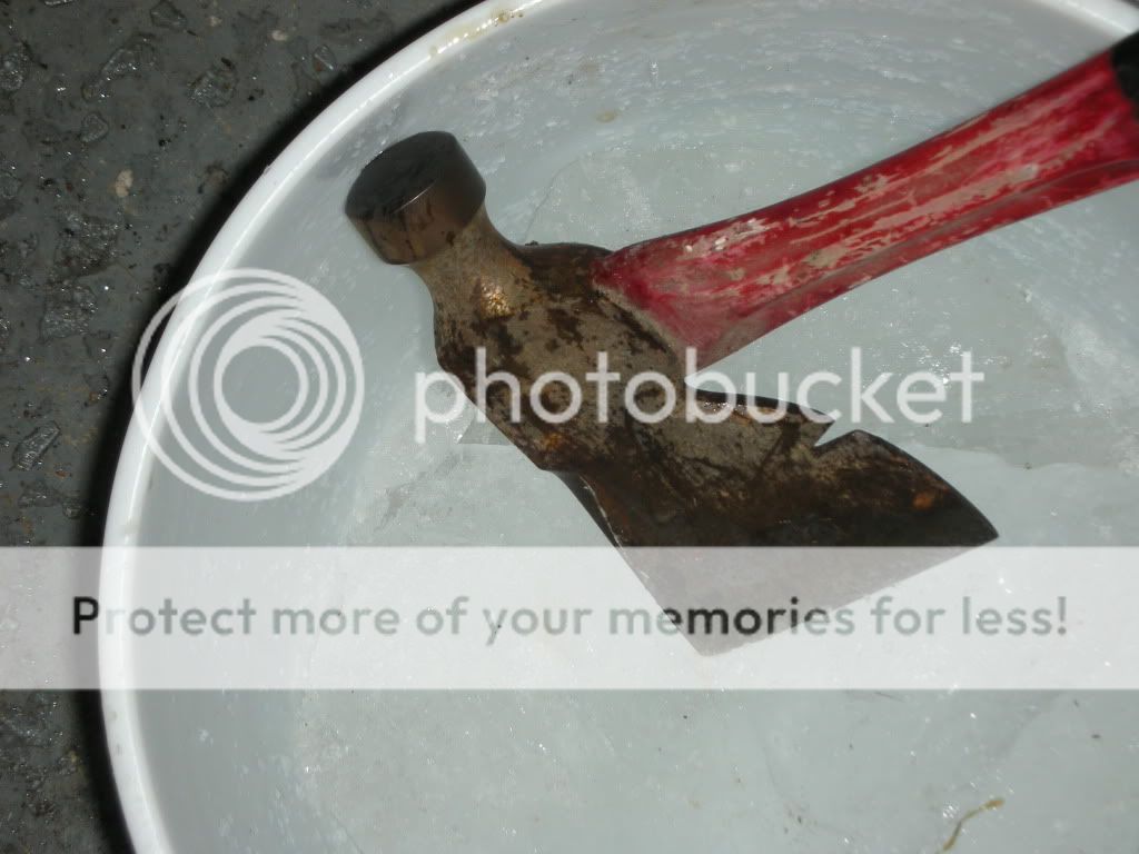 DSCN4309.jpg