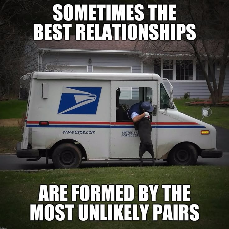 a3b26bba04311147bb47943bda714f5d--funny-friends-best-friends.jpg