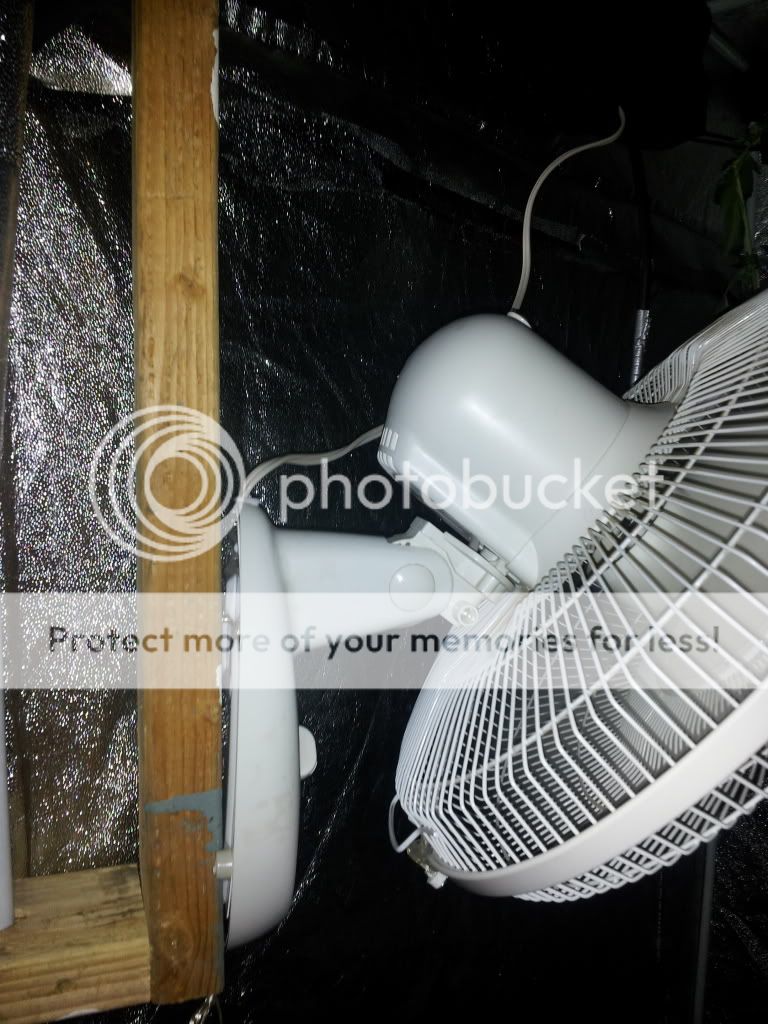20121210_143435.jpg
