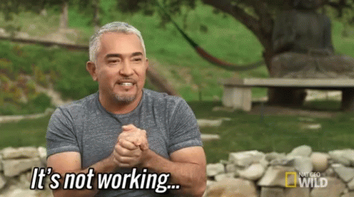 cesar911-cesar911series.gif