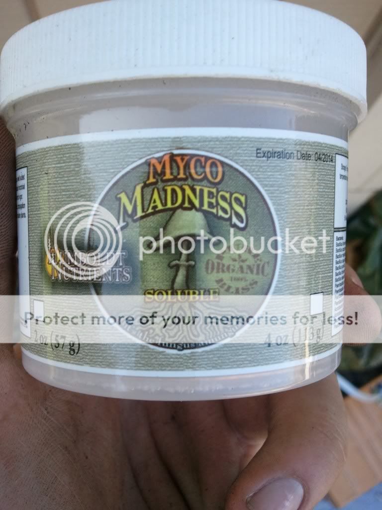 WP_000659.jpg