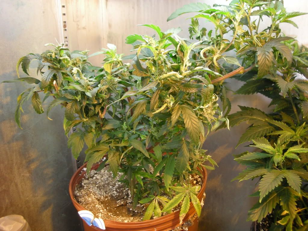 DSCN2221.jpg