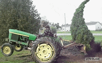 200w.gif