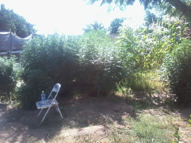 120723_001.jpg