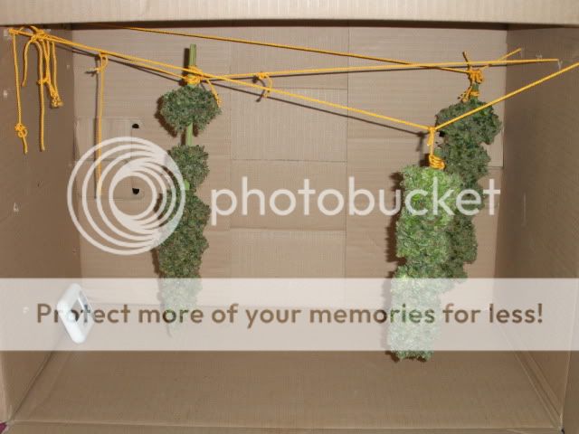DSCN1527.jpg