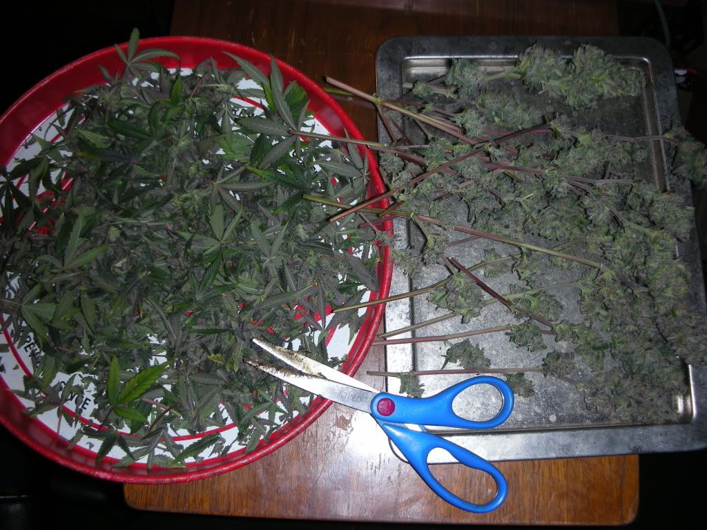 DSCN4480.jpg