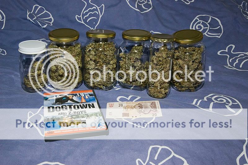 jars.jpg