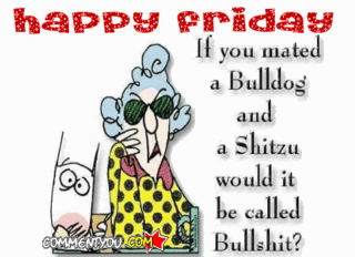 friday-2.gif
