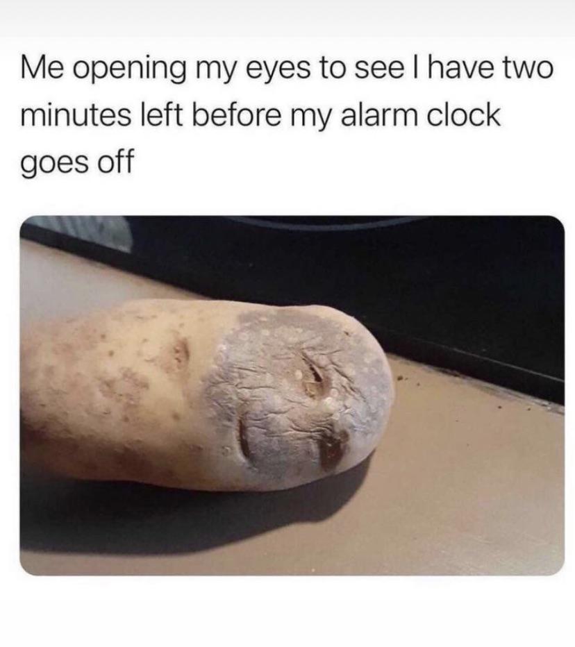 775.jpg