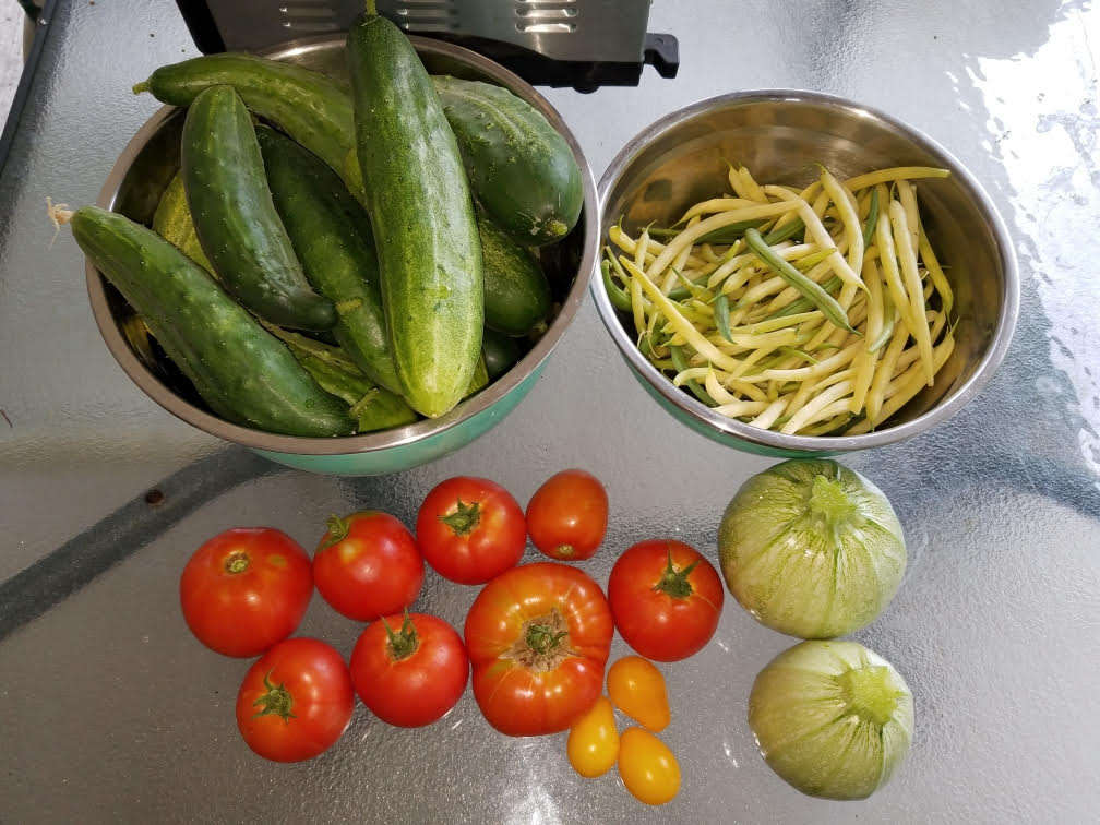 garden08182021.jpg