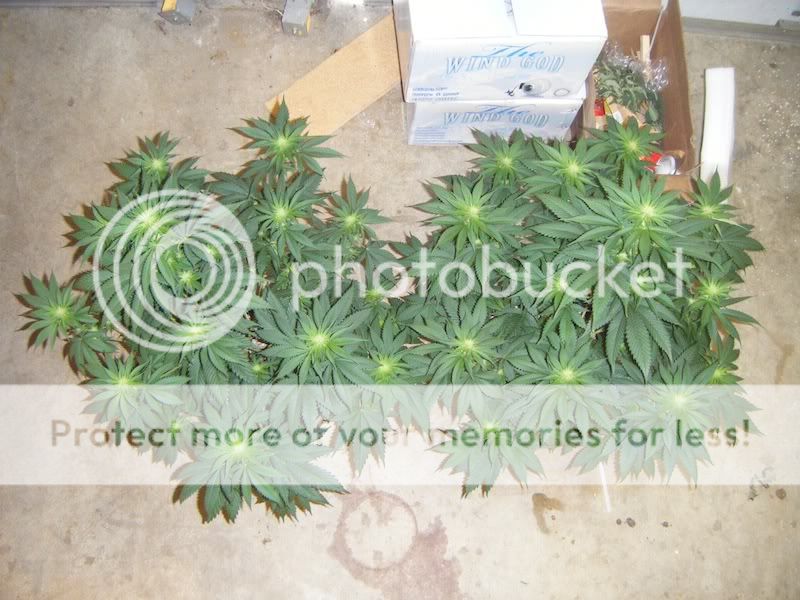 DSCF8238.jpg