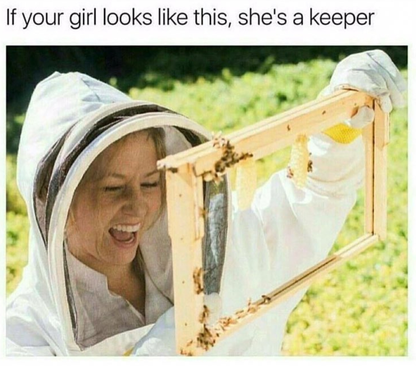 85368332.jpg