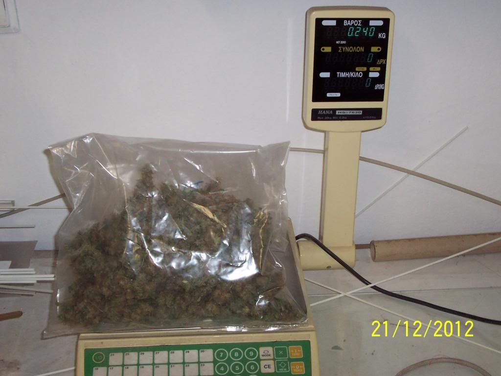 100_3050_zps124f5f0f.jpg