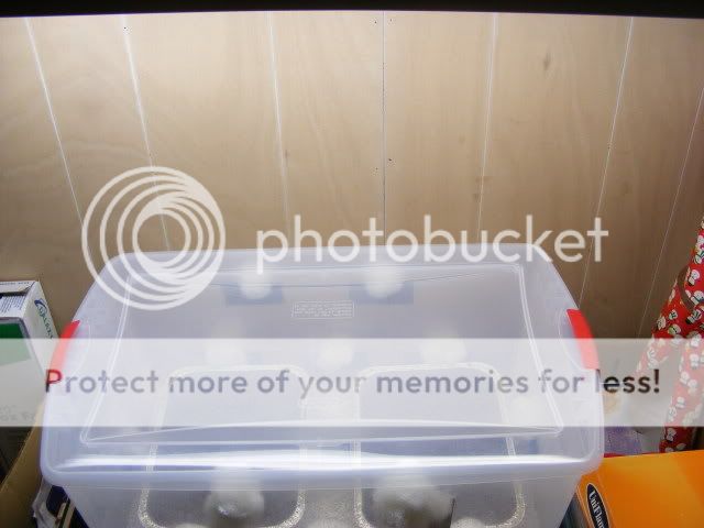 projects006.jpg