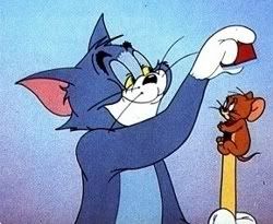 7466.jpg