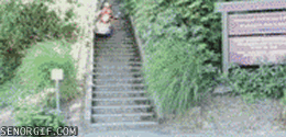 gif_07.gif