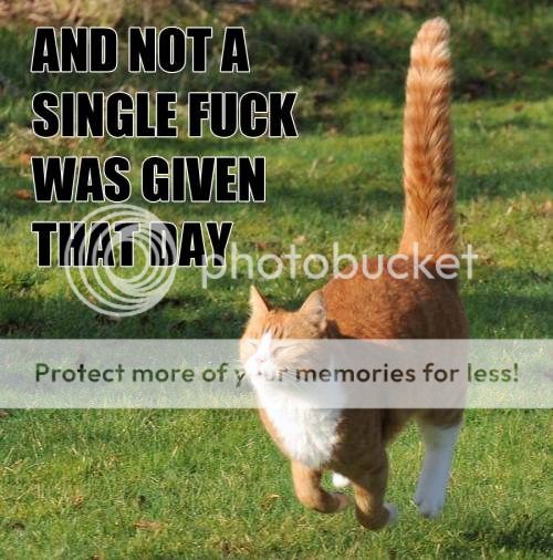 captions-lolz-17.jpg