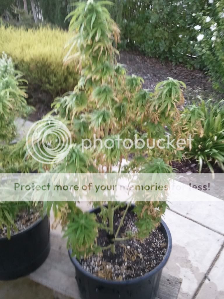 WP_000324.jpg